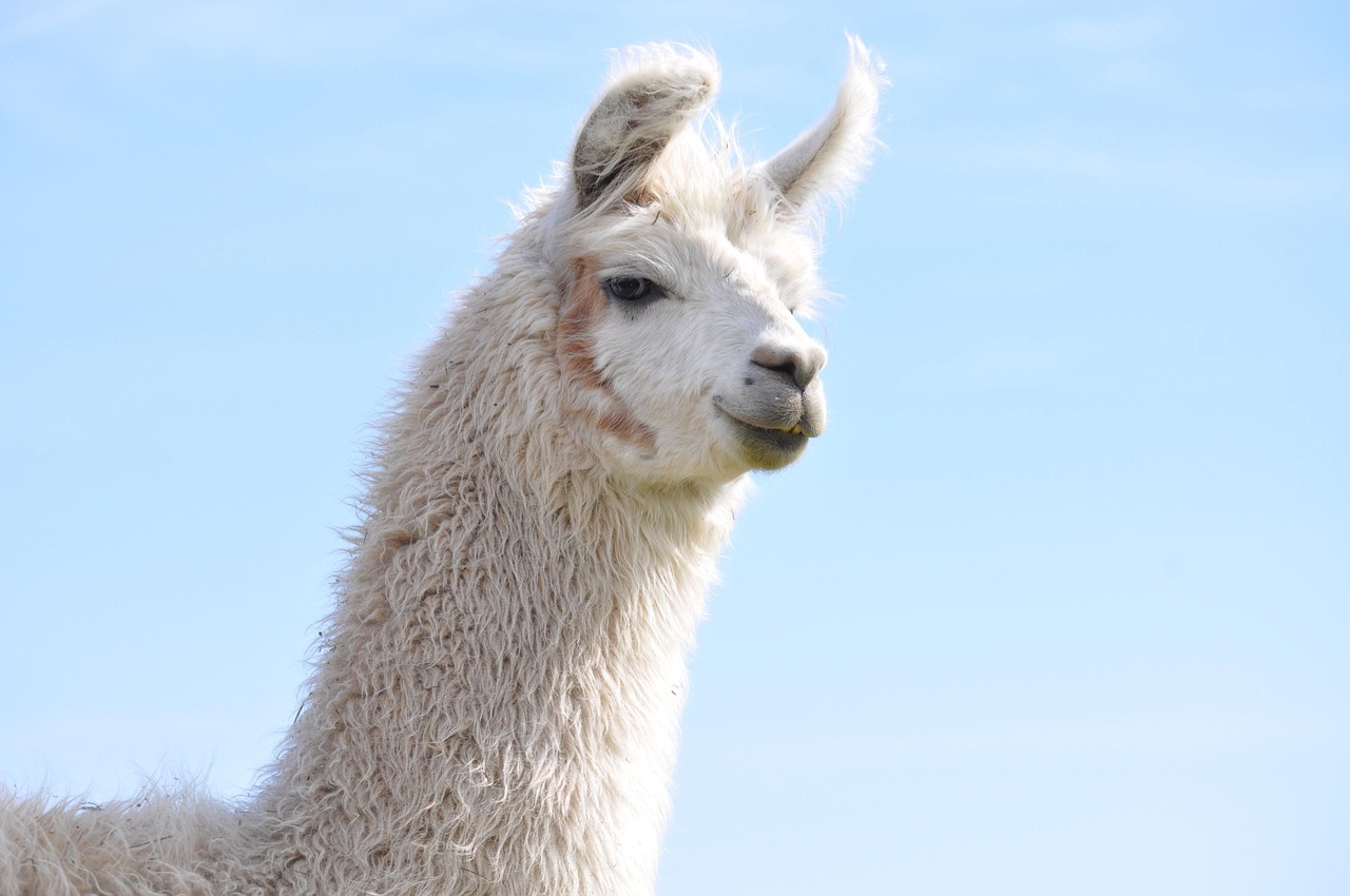 长城移动实名账号：实名认证：共筑网络安全之路