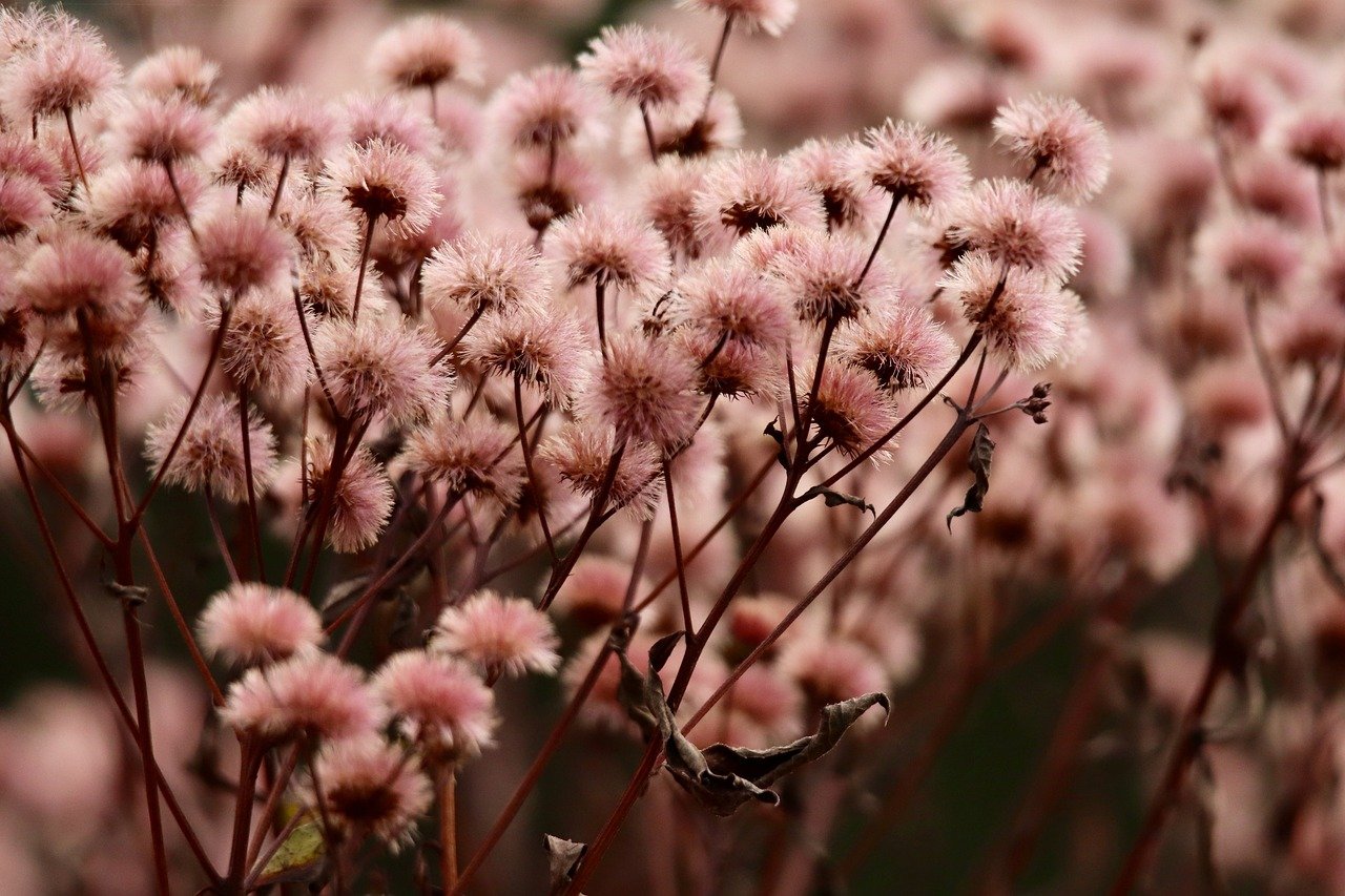 阿里手机卡实名账号:一张流量卡能免费赠送多少流量?