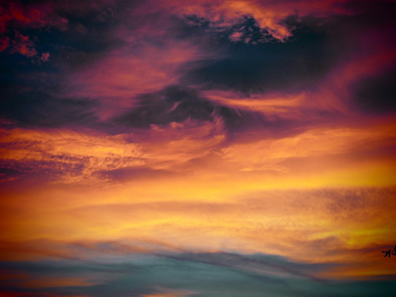 Bohem宝恒树叶3+17爆珠（混合）：青岛李沧代理注册公司